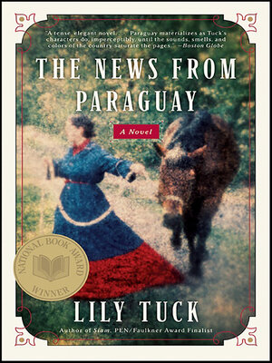 The News from Paraguay - ebook